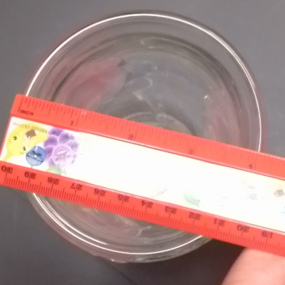 Teleflora Glass Made In France Clear Pink Frosted Raised Roses 6" Footed Vase - Picture 7 of 8